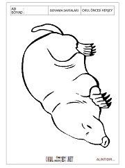 Köstebek boyama sayfaları